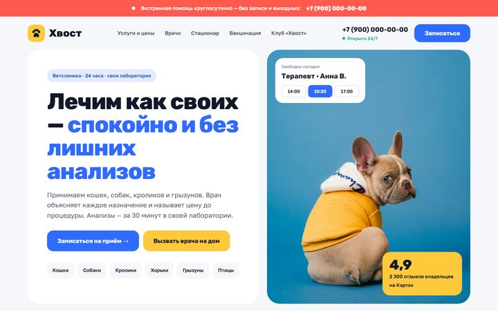 Концепт сайта «Хвост»: ветклиника